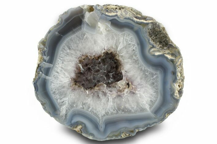Las Choyas Coconut Geode Half with Smoky Amethyst - Mexico #373056